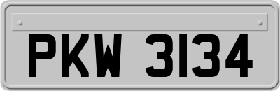 PKW3134