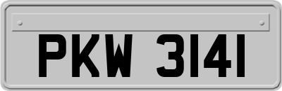 PKW3141