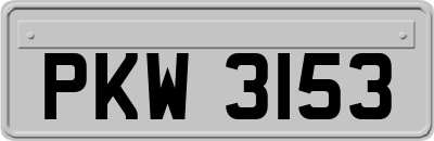 PKW3153