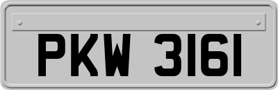 PKW3161