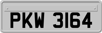 PKW3164