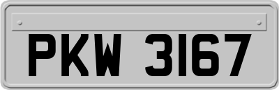PKW3167