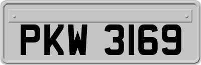 PKW3169