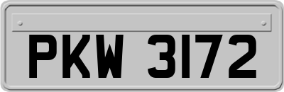 PKW3172