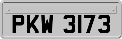 PKW3173