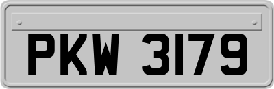 PKW3179