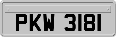 PKW3181