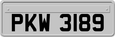 PKW3189