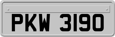 PKW3190