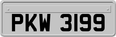 PKW3199