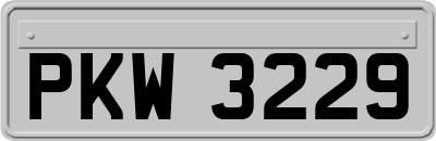 PKW3229