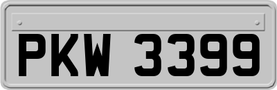 PKW3399
