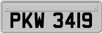 PKW3419