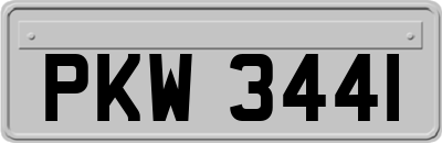 PKW3441