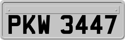 PKW3447