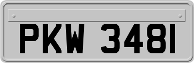 PKW3481