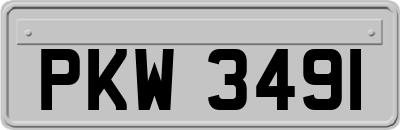 PKW3491