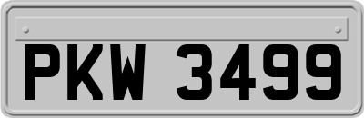 PKW3499