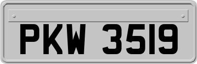 PKW3519