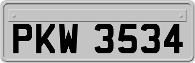 PKW3534