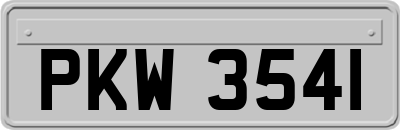 PKW3541