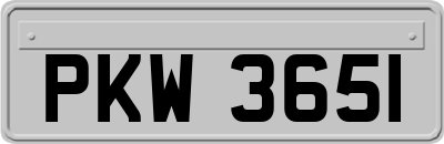 PKW3651