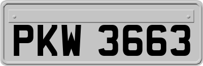 PKW3663