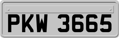PKW3665