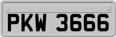 PKW3666