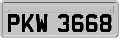 PKW3668