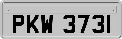 PKW3731
