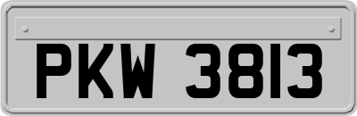 PKW3813