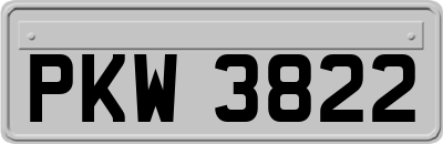 PKW3822