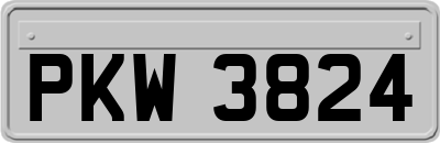 PKW3824