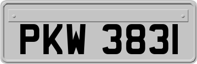 PKW3831