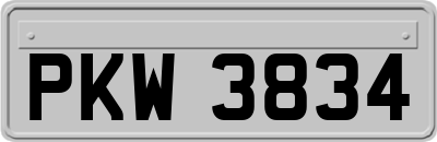 PKW3834
