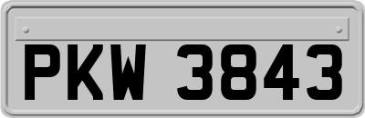 PKW3843