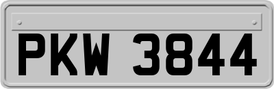 PKW3844