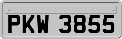 PKW3855