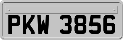 PKW3856