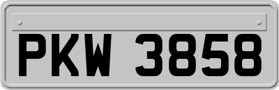 PKW3858