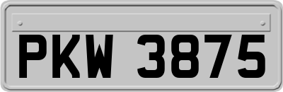 PKW3875