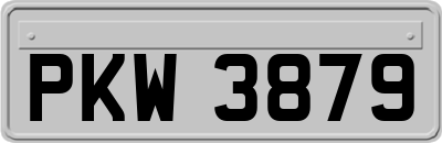 PKW3879