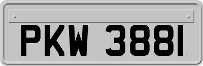 PKW3881