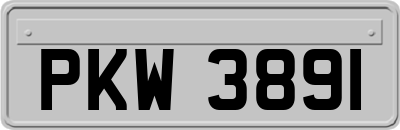 PKW3891