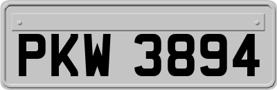PKW3894