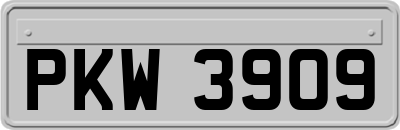 PKW3909