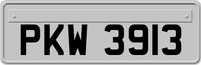 PKW3913