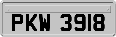 PKW3918