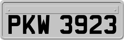 PKW3923